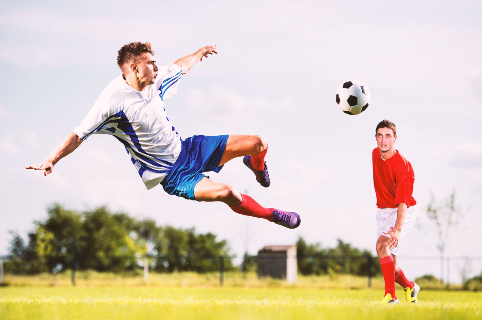 其中包括 其中包括