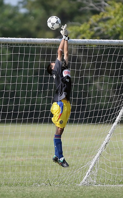 掀起了討論 掀起了討論