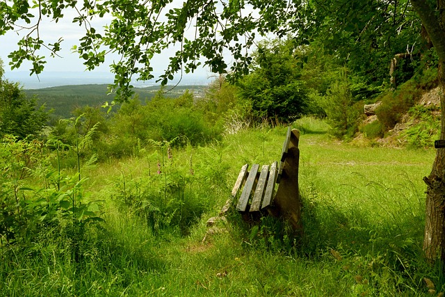 这样的老牌 这样的老牌